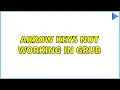Ubuntu Arrow Keys not working in GRUB 3 Solutions