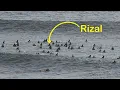 Download Lagu Rizal Gets His Waves At Packed Padang Padang