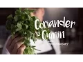 Spice Blends Coriander vs Cumin Cafe Zupas