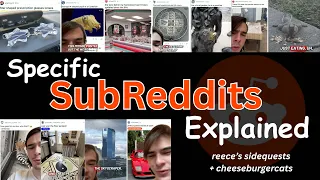Specific Subreddits Explained 20 of My Favorite Reddit Communities