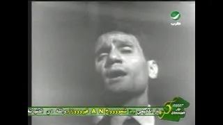 الليالي    عبد الحليم حافظ حفل مسرح التلفزيون      دندنها