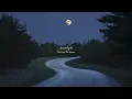 Download Lagu a quiet playlist for summer nights (reading/studying)