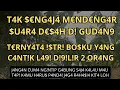 Download Lagu rahasia kebahagiaan istri bosku #kisahnyata 