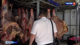 «Вести Омск», утренний эфир от 17 июня 2021 года