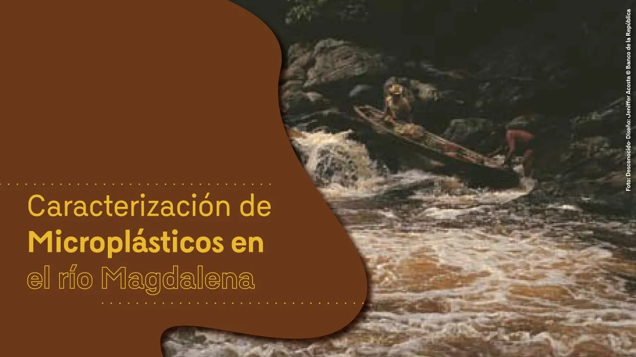 Conferencia | Caracterización de micro plásticos en el río Magdalena