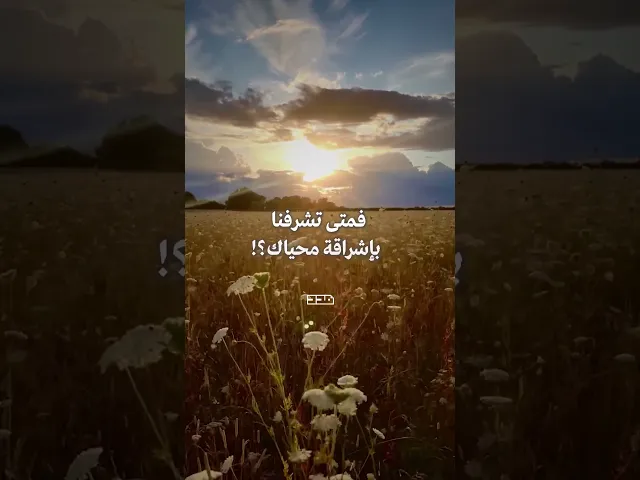⁣صباح الخير يا صاحب الزمان✨🌹#يوم_الجمعة #الإمام_المهدي #الظهور