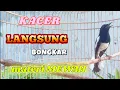 Download Lagu 🔴LANGSUNG PLAY SAJA ‼️KACER ANDA PASTI LANGSUNG BUKA EKOR SEKETIKA❗❗