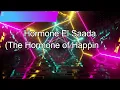 Tamer Hosny - Hormone ElSaada (Happiness Hormone) [English Subtitles]