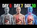 What REALLY Happens to Your Body When You Quit Alcohol for 90 Days Science Explained