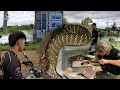 Download Lagu JUMBO COBRA SA CONTAINER VAN