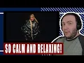 SO CALM AND RELAXING! AGNEZ MO - Patience [Official Video] - TEACHER PAUL REACTS