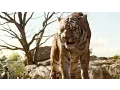 Download Lagu The Jungle Book - Shere Khan | official FIRST LOOK clip (2016)