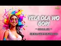 Download Lagu Yela Ola Vo Gori Holi Rmx 2025 Dj Nitin Ant Dj Bitzz Ksk