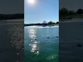 Lake Balboa Sun