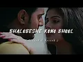 Lagu Bhalobeshe Kono Bhool 🌸❤️ | LoFi Song ✨ | Bindass | Slowed and Reverb Song..
