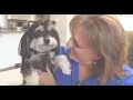 Lake Haven Rescue