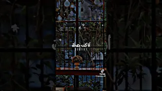 ادعيلي ياما بنتك في عرض الدعوتين معرفش مالي 