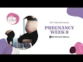 The Trimester Journey Pregnancy Week 8
