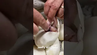 سبحان الله والحمد لله لا اله الا الله والله اكبر وليدتيتو 