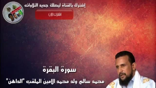 سورة البقرة كاملة بصوت محمد سالم ولد محمد الامين الملقب الداهن 