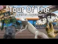 Tour of the NEW LegaSea Aquarium and Reptarium