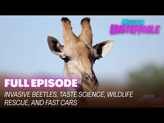 Video: Invasive Beetles, Taste Science, Wildlife Rescue, and Fast Cars | FULL EPISODE | S4