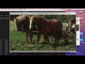 Introduction To Adobe Media Encoder Configure A Watch Folder For Automatic Compression