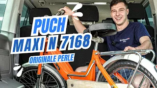 puch maxi n ch 7168 silas hat zugeschlagen 