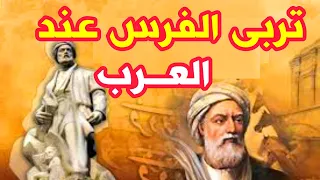 414 The Horse S Breeding Among The Arabs Arab Memory 