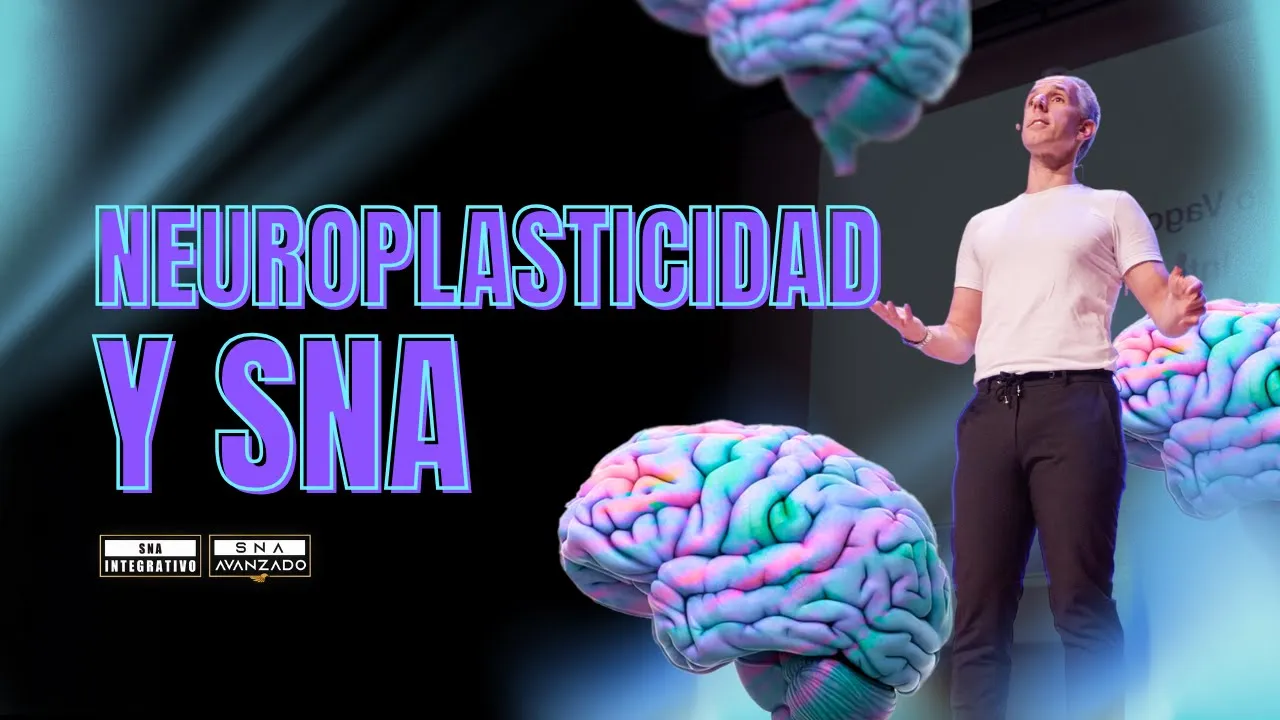Neuroplasticidad en clínica: dolor crónico, trauma y reprogramación del sistema nervioso