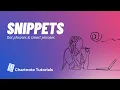 Snippets