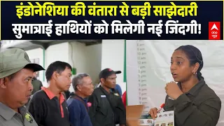 Indonesia की Vantara से बड़ी साझेदारी, जंगल में पहुंचेगा हाथियों का अस्पताल! | Breaking