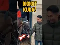 Download Lagu KUDA PENJAGA YANG JAHIL⁉️