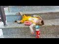 Download Lagu Pupu wanted to drink soda, but Grandma didn’t allow it.