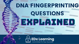 HSC Biology Trial Question DNA Fingerprinting