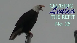 Cruising Lealea Refit No.25: A Bigger Hammer