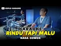Lagu RINDU TAPI MALU KARAOKE NADA COWOK / PRIA VERSI DANGDUT KOPLO KEY Dm