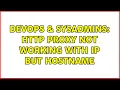 DevOps SysAdmins http proxy not working with IP but hostname