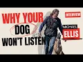 Stop Training Your Dog Until You Do This First