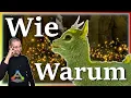 ARK Taming Guide Shinehorn zahmen seine Fahigkeiten mit Humor