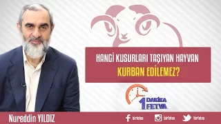 Hangi kusurları taşıyan hayvan kurban edilemez?