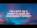 Betty Who - I Love You Always Forever (Lyrics)