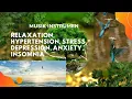 Lagu Musik Instrumen Untuk Pelancar Pembuluh Darah / Hipertensi, Stress, Cemas, Susah Tidur, Depresi