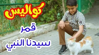 كواليس قمر سيدنا النبي مؤمن الجناني طيور الجنة 