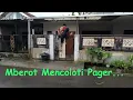 Download Lagu Bantengan mberot nyasar masuk ke rumah warga