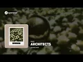 Architects - Seeing Red