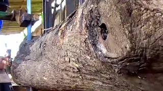 turning the best teak into planks 500 sheet