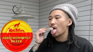 【笑ったら即食べる】世界一臭いシュールストレミングが地獄すぎたwww