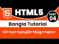 HTML Bangla Tutorial Part-4 i u small big em Tag