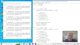 Using random to create colour choices in Python turtle